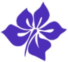 Foto van een bloemstuk gemaakt bij Bloemschikken bij Mirian